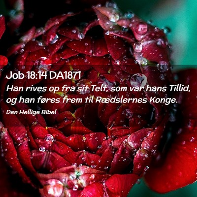 Picture 02 - Job 18:14 DA1871 - Han rives op fra sit Telt, som var hans Tillid, - Bible Verse Picture