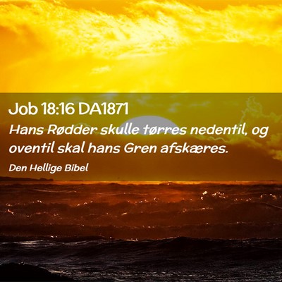 Picture 02 - Job 18:16 DA1871 - Hans Rødder skulle tørres nedentil, og oventil - Bible Verse Picture