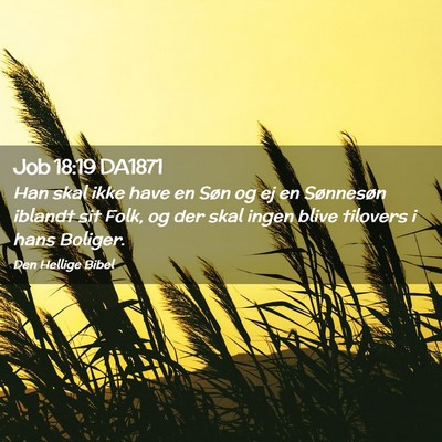 Picture 02 - Job 18:19 DA1871 - Han skal ikke have en Søn og ej en Sønnesøn - Bible Verse Picture