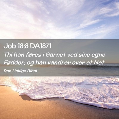 Picture 02 - Job 18:8 DA1871 - Thi han føres i Garnet ved sine egne Fødder, og - Bible Verse Picture