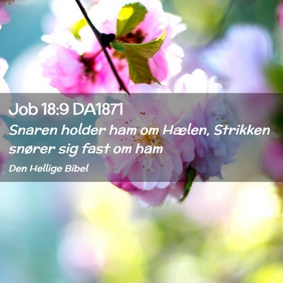 Picture 02 - Job 18:9 DA1871 - Snaren holder ham om Hælen, Strikken snører sig - Bible Verse Picture