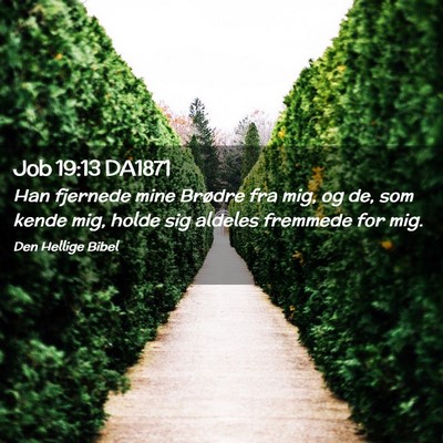 Picture 02 - Job 19:13 DA1871 - Han fjernede mine Brødre fra mig, og de, som - Bible Verse Picture