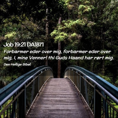 Picture 02 - Job 19:21 DA1871 - Forbarmer eder over mig, forbarmer eder over mig, - Bible Verse Picture