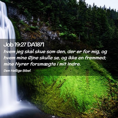 Picture 02 - Job 19:27 DA1871 - hvem jeg skal skue som den, der er for mig, og - Bible Verse Picture