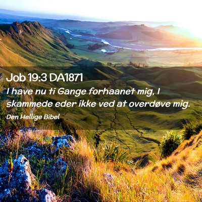 Picture 02 - Job 19:3 DA1871 - I have nu ti Gange forhaanet mig, I skammede eder - Bible Verse Picture