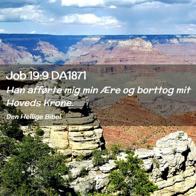 Picture 02 - Job 19:9 DA1871 - Han afførte mig min Ære og borttog mit Hoveds - Bible Verse Picture