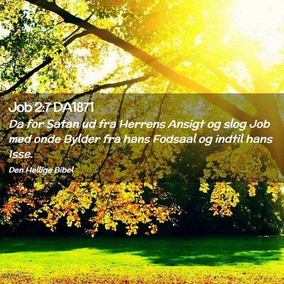 Picture 02 - Job 2:7 DA1871 - Da for Satan ud fra Herrens Ansigt og slog Job - Bible Verse Picture