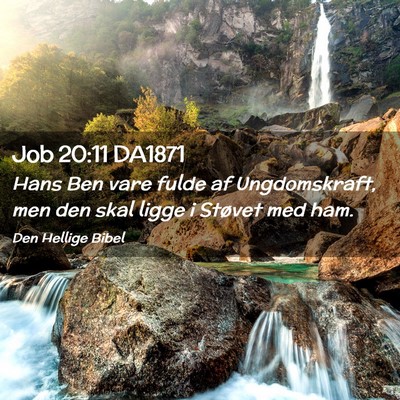 Picture 02 - Job 20:11 DA1871 - Hans Ben vare fulde af Ungdomskraft, men den skal - Bible Verse Picture