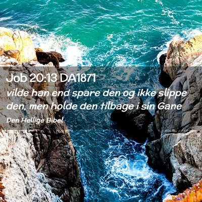 Picture 02 - Job 20:13 DA1871 - vilde han end spare den og ikke slippe den, men - Bible Verse Picture
