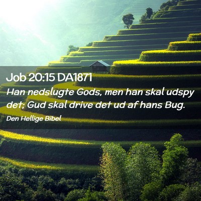 Picture 02 - Job 20:15 DA1871 - Han nedslugte Gods, men han skal udspy det; Gud - Bible Verse Picture