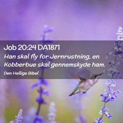 Picture 02 - Job 20:24 DA1871 - Han skal fly for Jernrustning, en Kobberbue skal - Bible Verse Picture