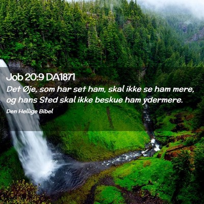 Picture 02 - Job 20:9 DA1871 - Det Øje, som har set ham, skal ikke se ham mere, - Bible Verse Picture