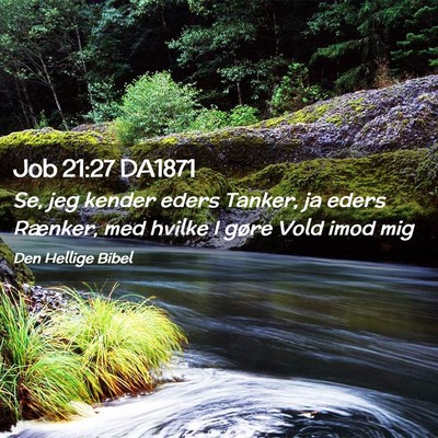 Picture 02 - Job 21:27 DA1871 - Se, jeg kender eders Tanker, ja eders Rænker, - Bible Verse Picture