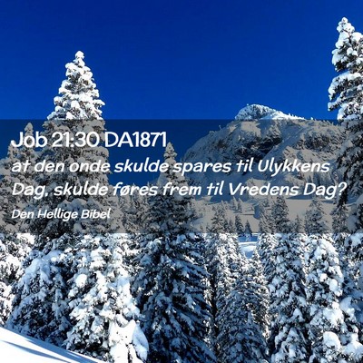 Picture 02 - Job 21:30 DA1871 - at den onde skulde spares til Ulykkens Dag, - Bible Verse Picture