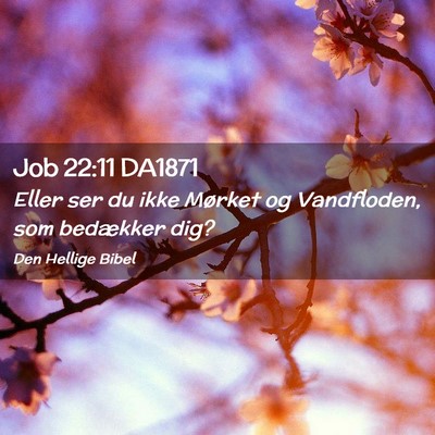 Picture 02 - Job 22:11 DA1871 - Eller ser du ikke Mørket og Vandfloden, som - Bible Verse Picture