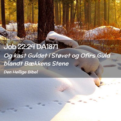 Picture 02 - Job 22:24 DA1871 - Og kast Guldet i Støvet og Ofirs Guld blandt - Bible Verse Picture