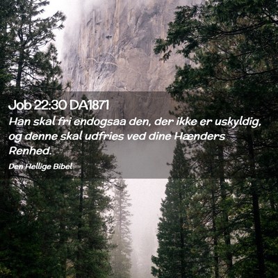 Picture 02 - Job 22:30 DA1871 - Han skal fri endogsaa den, der ikke er uskyldig, - Bible Verse Picture