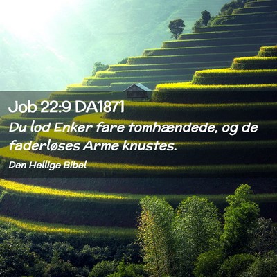Picture 02 - Job 22:9 DA1871 - Du lod Enker fare tomhændede, og de faderløses - Bible Verse Picture