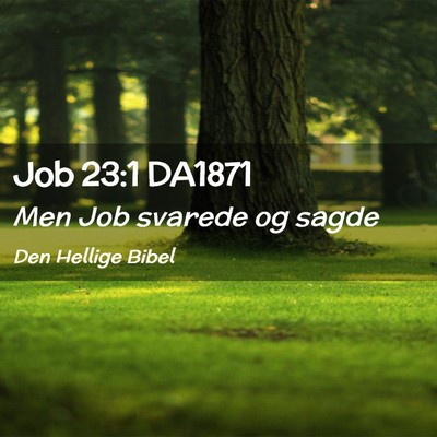 Picture 02 - Job 23:1 DA1871 - Men Job svarede og - Bible Verse Picture