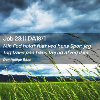 Picture 02 - Job 23:11 DA1871 - Min Fod holdt fast ved hans Spor, jeg tog Vare - Bible Verse Picture
