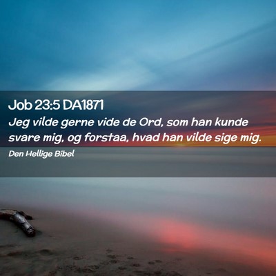 Picture 02 - Job 23:5 DA1871 - Jeg vilde gerne vide de Ord, som han kunde svare - Bible Verse Picture