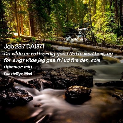 Picture 02 - Job 23:7 DA1871 - Da vilde en retfærdig gaa i Rette med ham, og - Bible Verse Picture