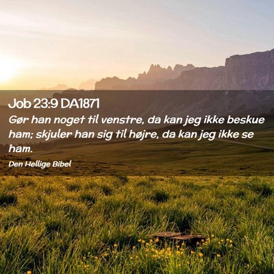 Picture 02 - Job 23:9 DA1871 - Gør han noget til venstre, da kan jeg ikke - Bible Verse Picture