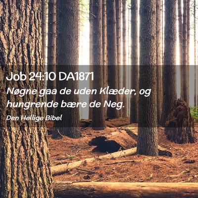 Picture 02 - Job 24:10 DA1871 - Nøgne gaa de uden Klæder, og hungrende bære de - Bible Verse Picture