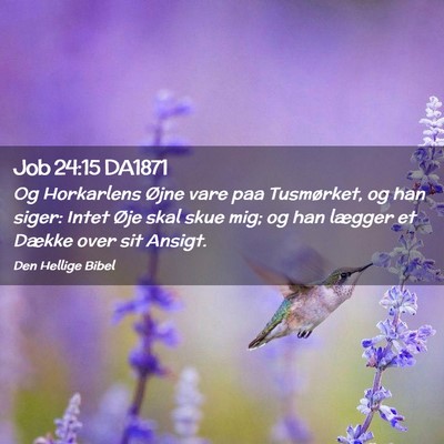 Picture 02 - Job 24:15 DA1871 - Og Horkarlens Øjne vare paa Tusmørket, og han - Bible Verse Picture