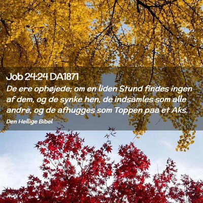 Picture 02 - Job 24:24 DA1871 - De ere ophøjede; om en liden Stund findes ingen - Bible Verse Picture