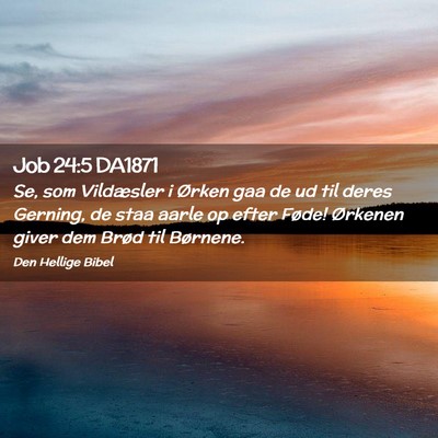 Picture 02 - Job 24:5 DA1871 - Se, som Vildæsler i Ørken gaa de ud til deres - Bible Verse Picture