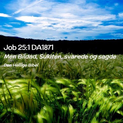 Picture 02 - Job 25:1 DA1871 - Men Bildad, Sukiten, svarede og - Bible Verse Picture