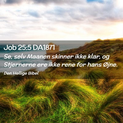 Picture 02 - Job 25:5 DA1871 - Se, selv Maanen skinner ikke klar, og Stjernerne - Bible Verse Picture