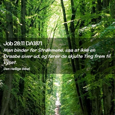 Picture 02 - Job 28:11 DA1871 - Man binder for Strømmene, saa at ikke en Draabe - Bible Verse Picture