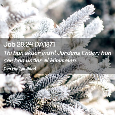 Picture 02 - Job 28:24 DA1871 - Thi han skuer indtil Jordens Ender; han ser hen - Bible Verse Picture