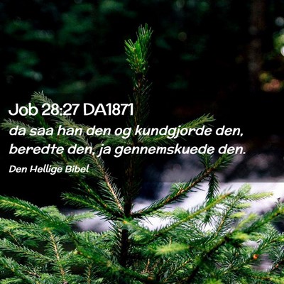 Picture 02 - Job 28:27 DA1871 - da saa han den og kundgjorde den, beredte den, ja - Bible Verse Picture
