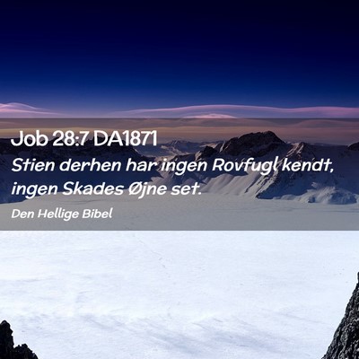 Picture 02 - Job 28:7 DA1871 - Stien derhen har ingen Rovfugl kendt, ingen - Bible Verse Picture