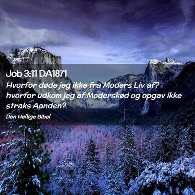 Picture 02 - Job 3:11 DA1871 - Hvorfor døde jeg ikke fra Moders Liv af? hvorfor - Bible Verse Picture