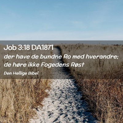 Picture 02 - Job 3:18 DA1871 - der have de bundne Ro med hverandre; de høre - Bible Verse Picture
