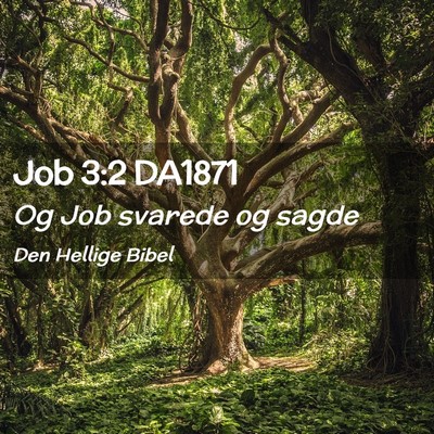Picture 02 - Job 3:2 DA1871 - Og Job svarede og - Bible Verse Picture