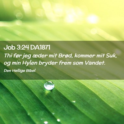 Picture 02 - Job 3:24 DA1871 - Thi før jeg æder mit Brød, kommer mit Suk, og - Bible Verse Picture
