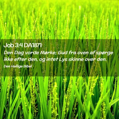 Picture 02 - Job 3:4 DA1871 - Den Dag vorde Mørke; Gud fra oven af spørge - Bible Verse Picture