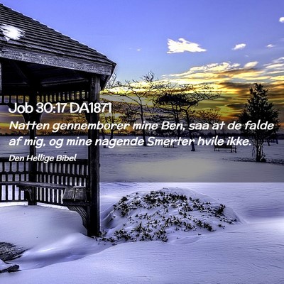 Picture 02 - Job 30:17 DA1871 - Natten gennemborer mine Ben, saa at de falde af - Bible Verse Picture