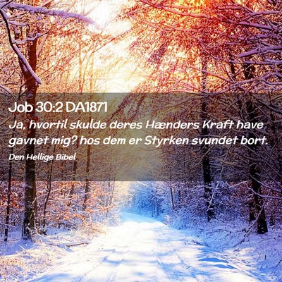 Picture 02 - Job 30:2 DA1871 - Ja, hvortil skulde deres Hænders Kraft have - Bible Verse Picture