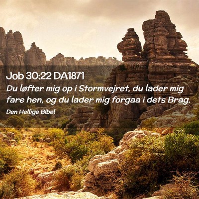 Picture 02 - Job 30:22 DA1871 - Du løfter mig op i Stormvejret, du lader mig - Bible Verse Picture