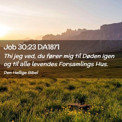 Picture 02 - Job 30:23 DA1871 - Thi jeg ved, du fører mig til Døden igen og til - Bible Verse Picture