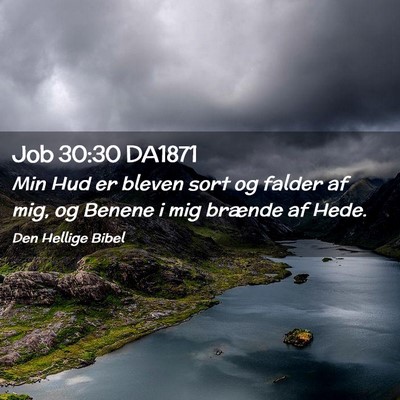 Picture 02 - Job 30:30 DA1871 - Min Hud er bleven sort og falder af mig, og - Bible Verse Picture