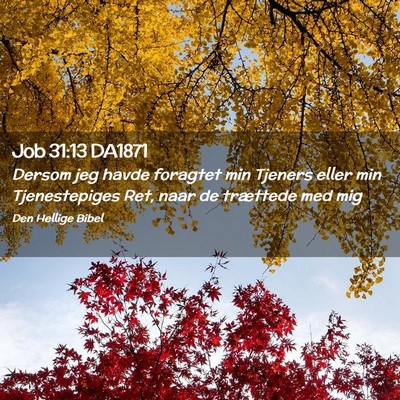 Picture 02 - Job 31:13 DA1871 - Dersom jeg havde foragtet min Tjeners eller min - Bible Verse Picture