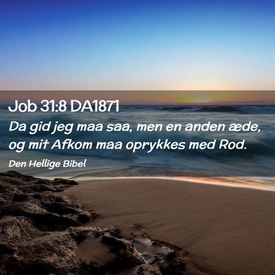 Picture 02 - Job 31:8 DA1871 - Da gid jeg maa saa, men en anden æde, og mit - Bible Verse Picture