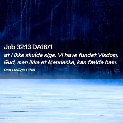 Picture 02 - Job 32:13 DA1871 - at I ikke skulde sige: Vi have fundet Visdom; - Bible Verse Picture